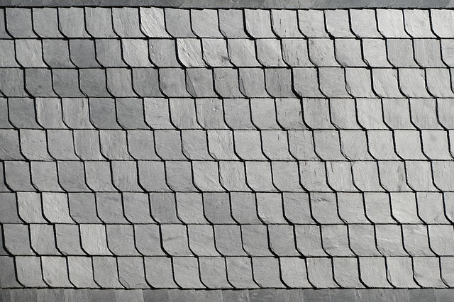 shingle-3398316_640.jpg